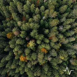  Campeggio Placat Eco Nel Bosco Italia